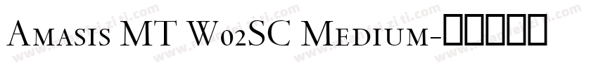 Amasis MT W02SC Medium字体转换